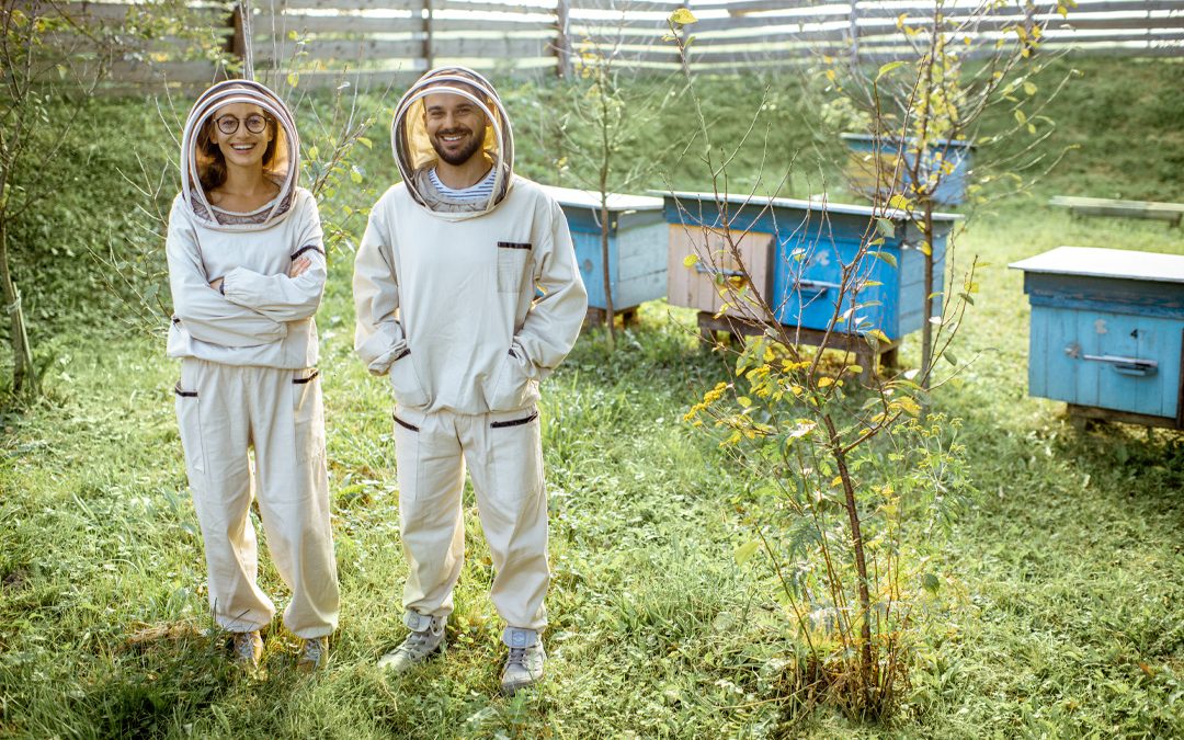 Beekeeping Protective Clothing Guide