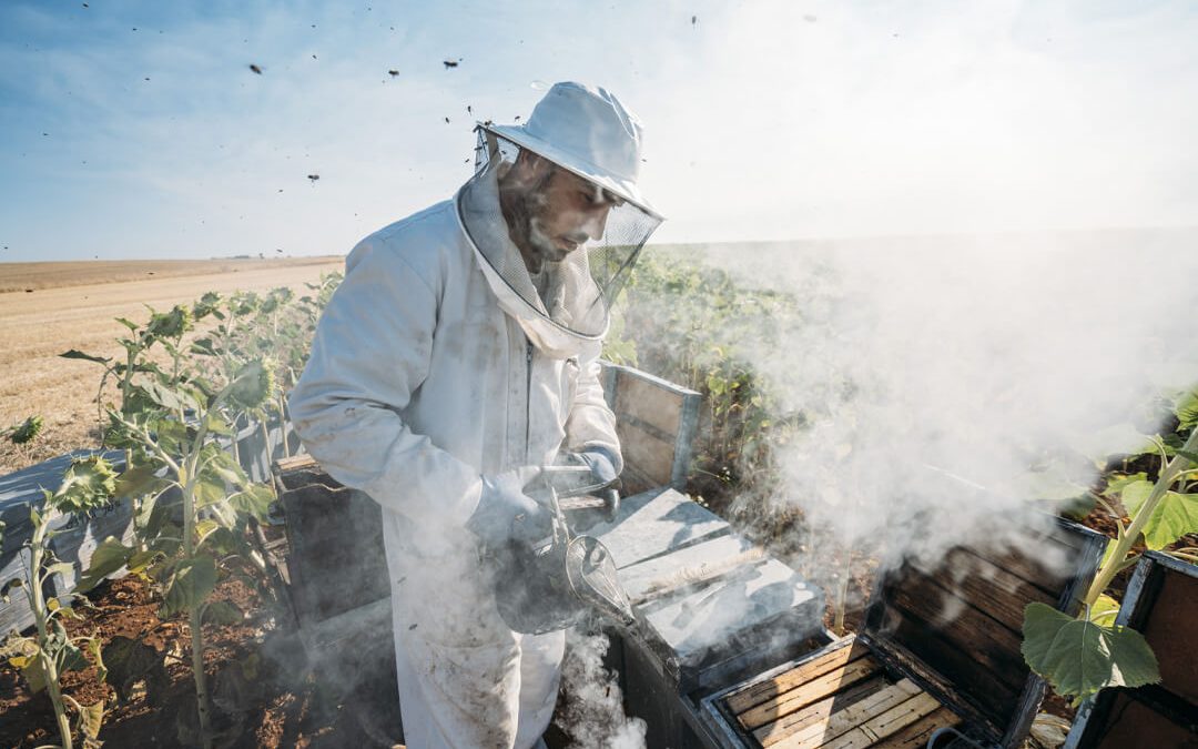 Beginner Beekeeping Supplies Guide: Your Official Checklist