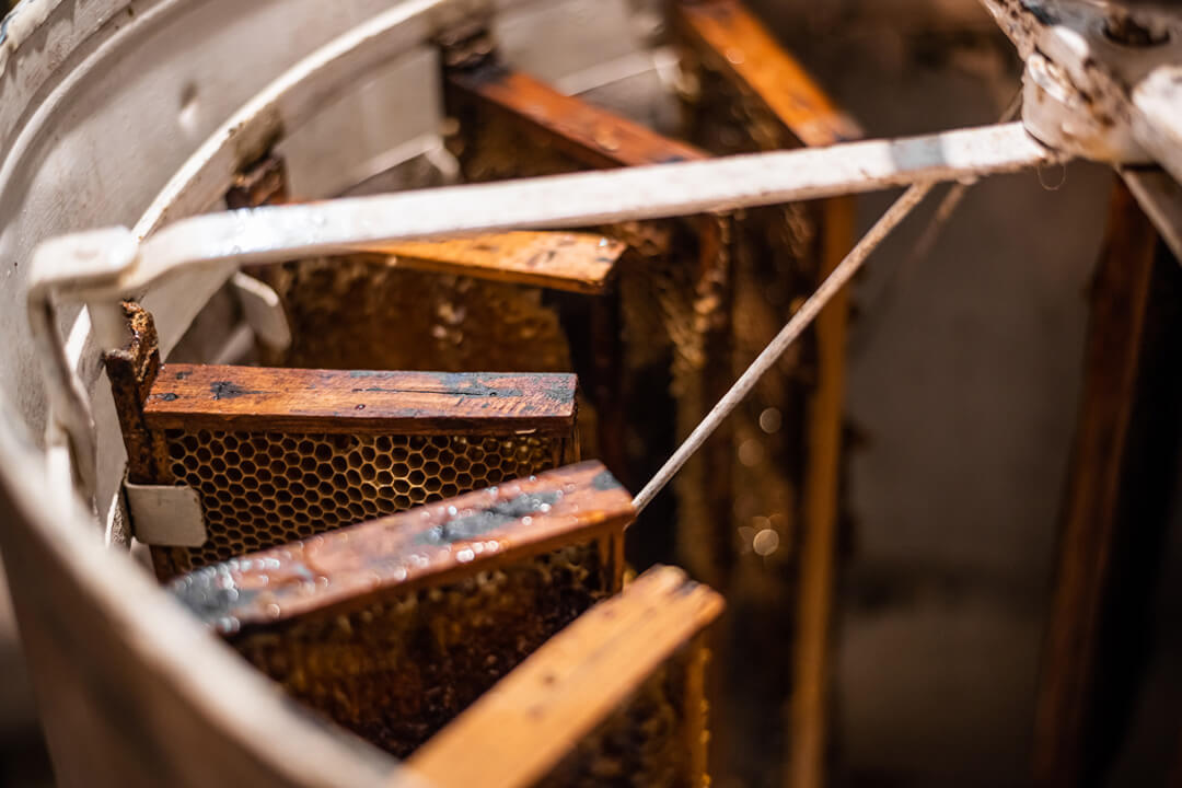 Honey extractor equipment spinning uncapped frames