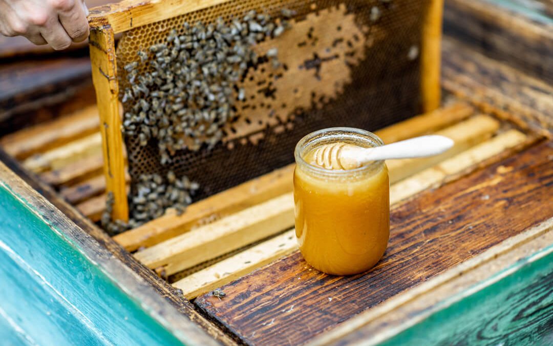 When to Start a Beehive