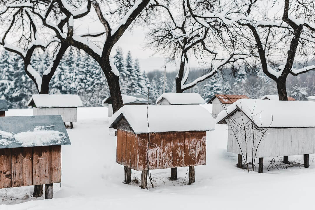 Wooden beehives covered with snow among trees