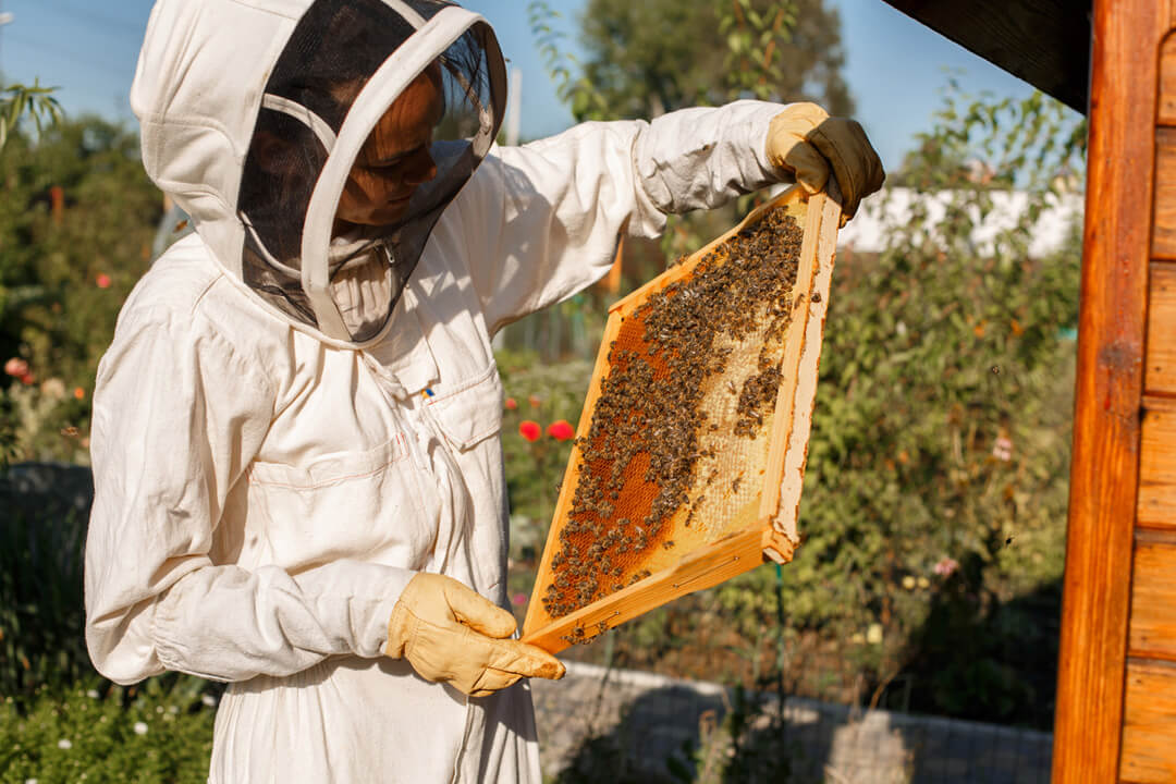 Best Beekeeper Suits Review Guide